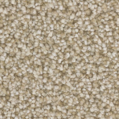 Microban® Polyester - Radiant Gold by Phenix Carpet - Halo