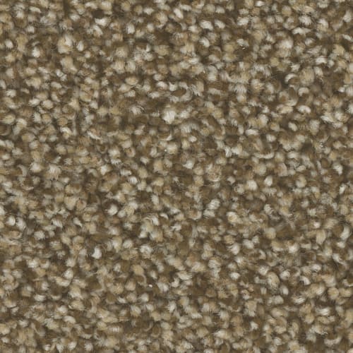 Microban® Polyester - Radiant Gold by Phenix Carpet - Splendor