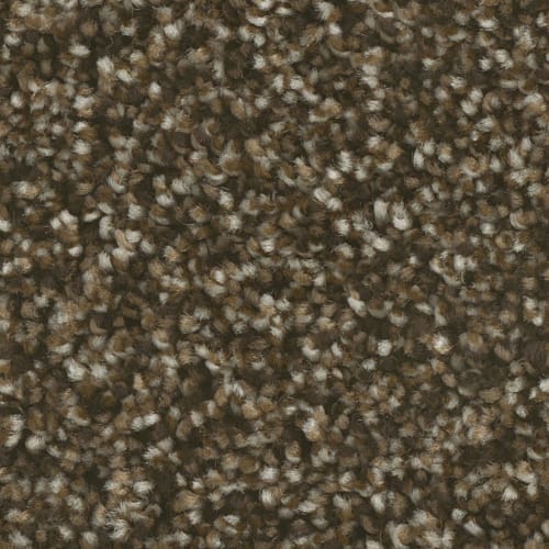 Microban® Polyester - Radiant Gold by Phenix Carpet - Opulent