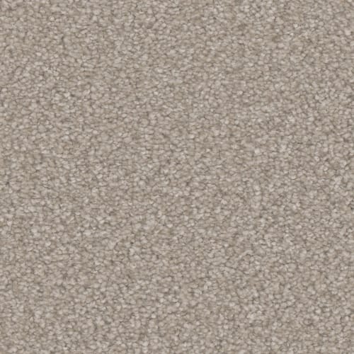 Microban® Polyester - Oasis Platinum by Phenix Carpet - Desert