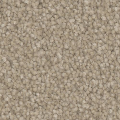 Microban® Polyester - Oasis Platinum by Phenix Carpet - Sand Dune