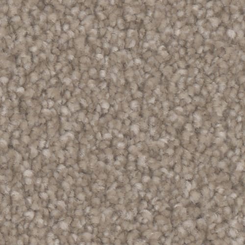 Microban® Polyester - Oasis Platinum by Phenix Carpet - Camel