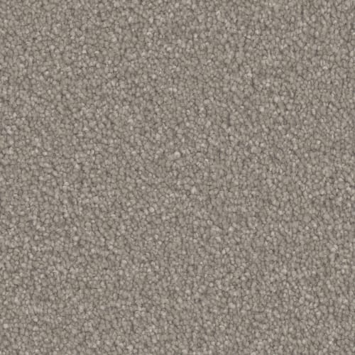 Microban® Polyester - Oasis Platinum by Phenix Carpet - Fossil