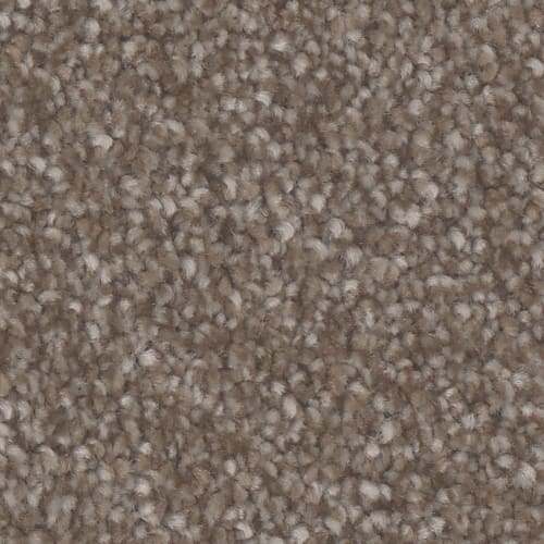 Microban® Polyester - Oasis Platinum by Phenix Carpet - Prickly Pear