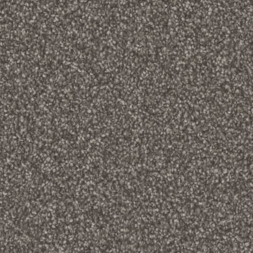 Microban® Polyester - Oasis Platinum by Phenix Carpet - Tumbleweed