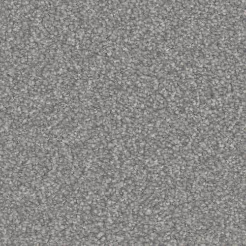 Microban® Polyester - Oasis Platinum by Phenix Carpet - Armadillo