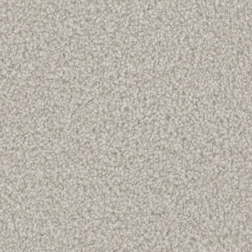 Microban® Polyester - Oasis Silver by Phenix Carpet - Cactus Flower