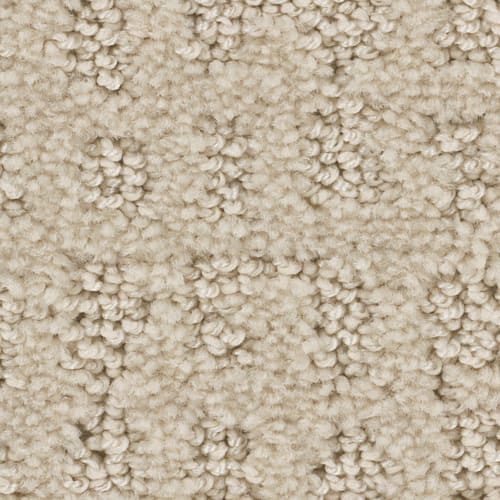 Microban® Polyester - Mesh by Phenix Carpet - Lace