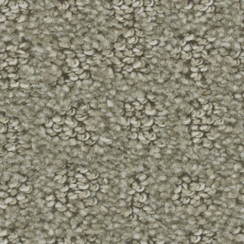 Microban® Polyester - Mesh by Phenix Carpet - Tangle