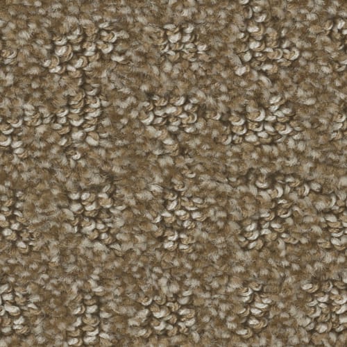 Microban® Polyester - Mesh by Phenix Carpet - Knot