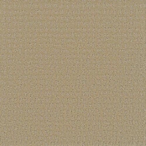 Microban® Polyester - Mesh by Phenix Carpet - Link