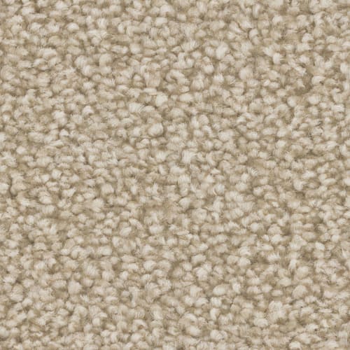 Microban® Polyester - Aura by Phenix Carpet - Daydream