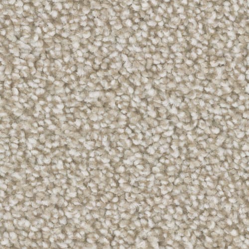 Microban® Polyester - Aura by Phenix Carpet - Atmosphere