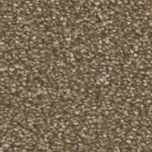 Microban® Polyester - Aura by Phenix Carpet - Rooted