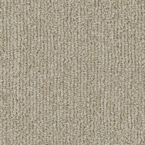 Microban® Polyester - Warp by Phenix Carpet - Twine