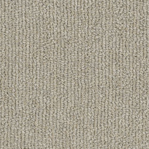 Microban® Polyester - Warp by Phenix Carpet - Cord