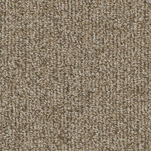 Microban® Polyester - Warp by Phenix Carpet - Grain