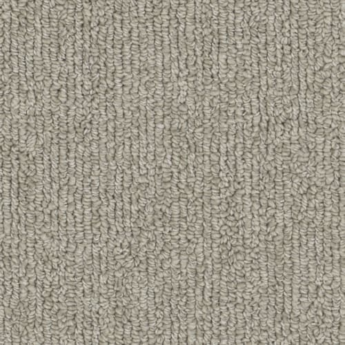 Microban® Polyester - Warp by Phenix Carpet - Braid