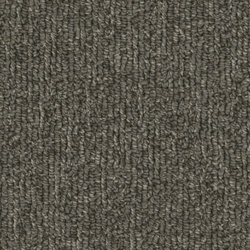 Microban® Polyester - Warp by Phenix Carpet - Character