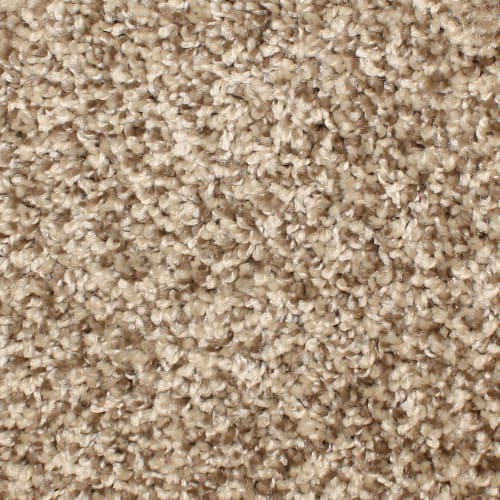 Microban® Polyester - Capstone by Phenix Carpet - Court Yard