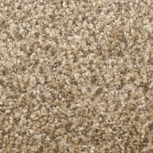 Microban® Polyester - Capstone by Phenix Carpet - Balance