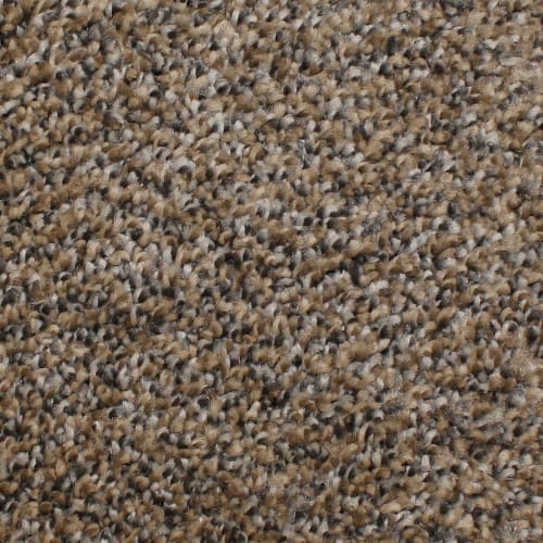 Microban® Polyester - Capstone by Phenix Carpet - Rough Cut