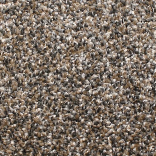 Microban® Polyester - Capstone by Phenix Carpet - Sassy