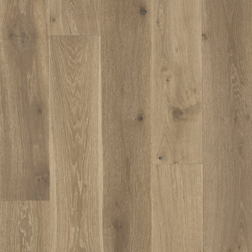 Latitude Collection® - Sanctuary by Mannington - Dune