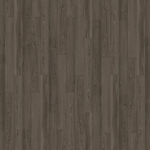 Innovious - Curio by Beauflor - Cypress Pine