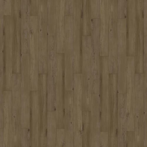 Innovious - Curio by Beauflor - Salem Elm