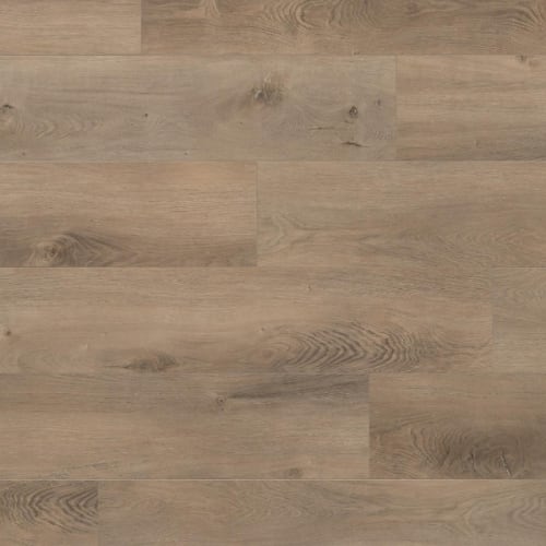 Montane Trail by Evoke Flooring - Joey P