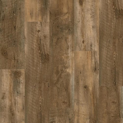 Magnitude by Carpet Barn Exclusive