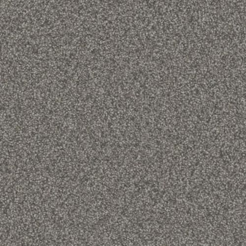 Committed II Steadfast by Carpet City Wisconsin Carpet City WI