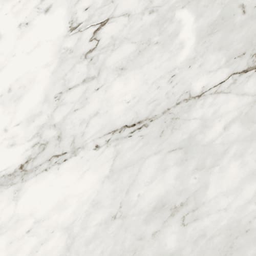 Carrara Classic 12X24