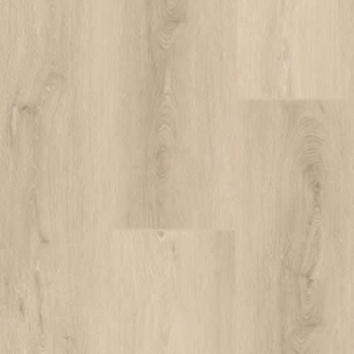 869 Oak