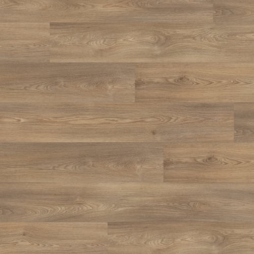 Columbian Oak 946M