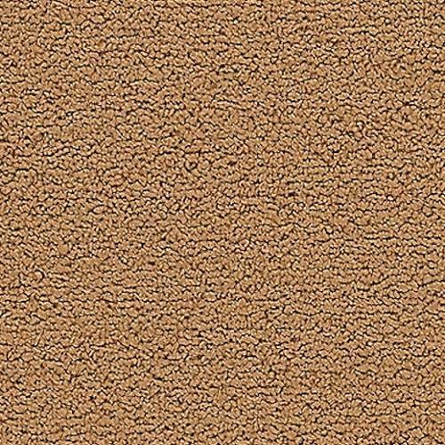 3650 Desert Sand