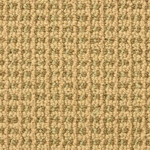 Tresor II by Masland Carpets - Willow