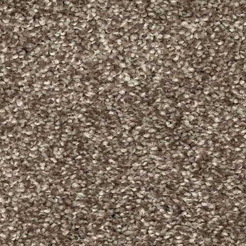 Radiant Surface by Mohawk Industries - Cascade