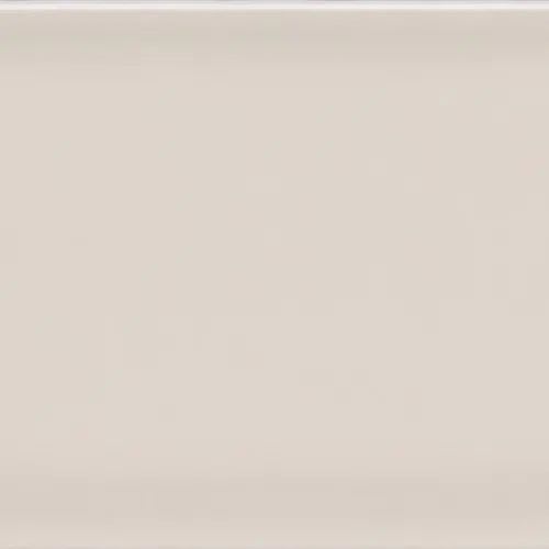Bashful Beige 3X12 Glossy