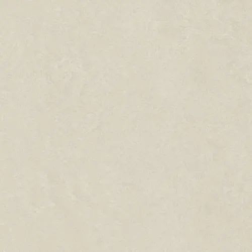 White Natural 12X24