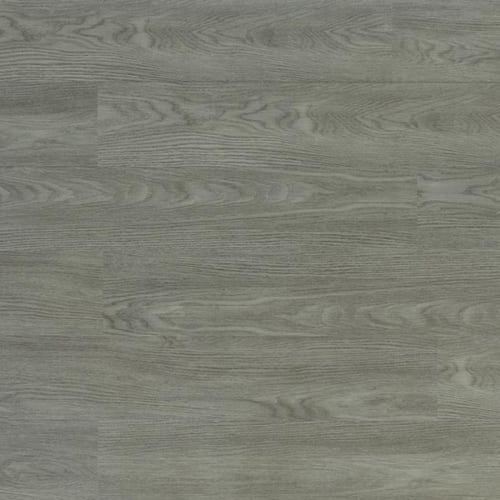 Everest Grey