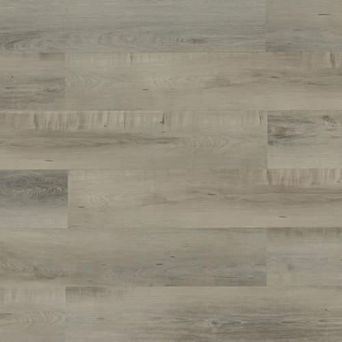 Spc 2 Series by Toucan - Floating Ice