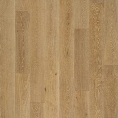 Ageless Oak