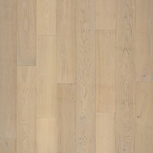 Dazzling Oak