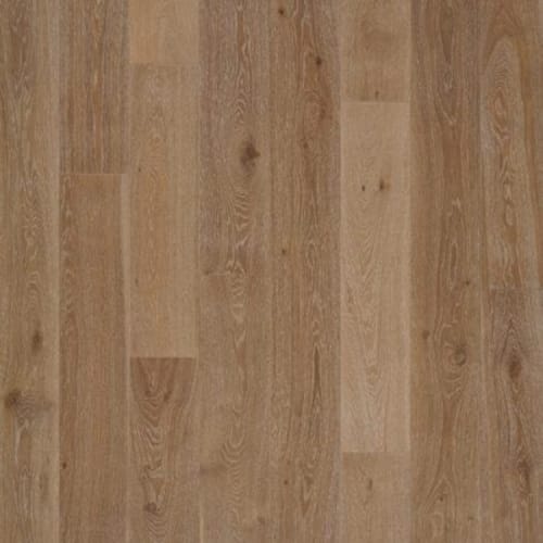 Splendid Oak
