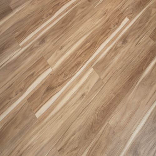 Windansea Low Tide Collection by Cali Floors - Coastal Eucalyptus