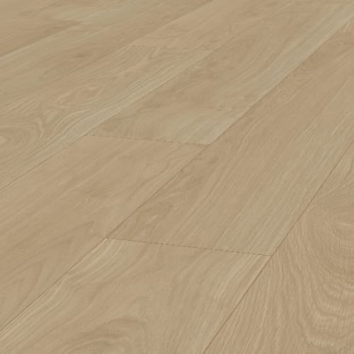 Waveless Oak Nature