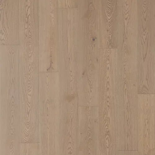 Dorian Gray Oak