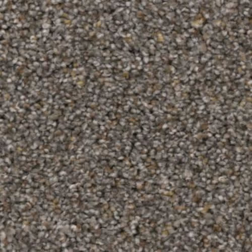 Microban® Polyester - Divine by Phenix Carpet - Snare